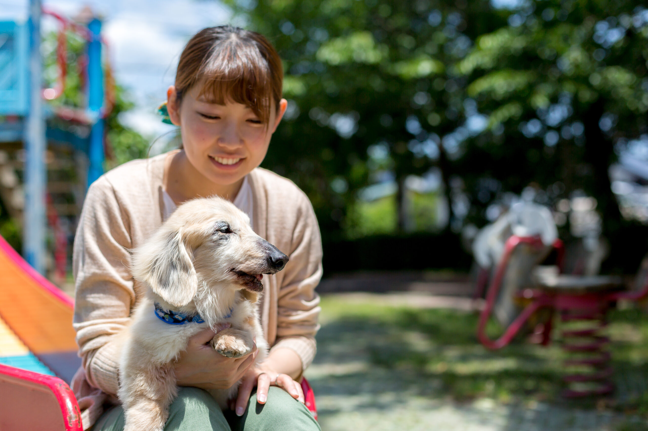 SARAの犬猫介護講座は、わかりやすい教材だから続けやすい